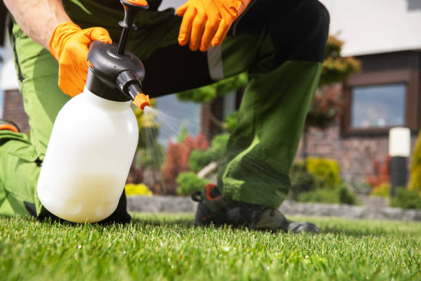 Wildlife Control Services in Cross Roads, TX