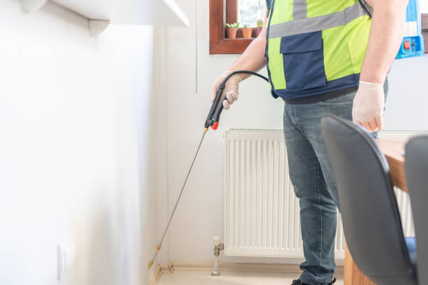 Best Rat Extermination Near Me  in Cross Roads, TX