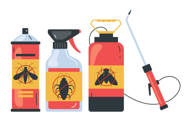 Best Affordable Pest Control Services  in Cross Roads, TX