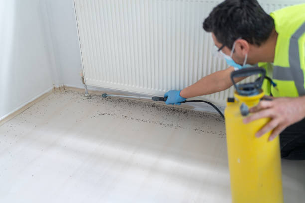Best Bed Bug Extermination  in Cross Roads, TX