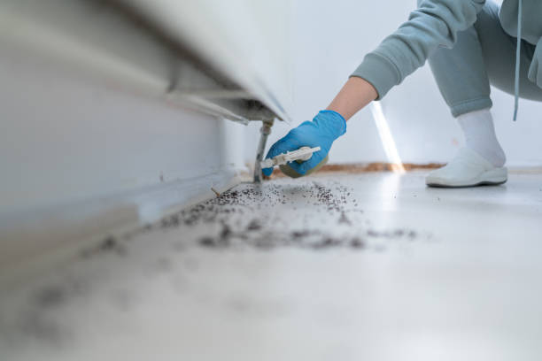 Best Exterminator Services  in Cross Roads, TX